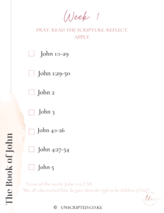 John Bible Plan pg 3