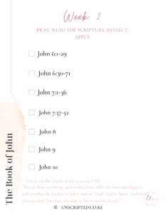 John Bible Plan pg 4