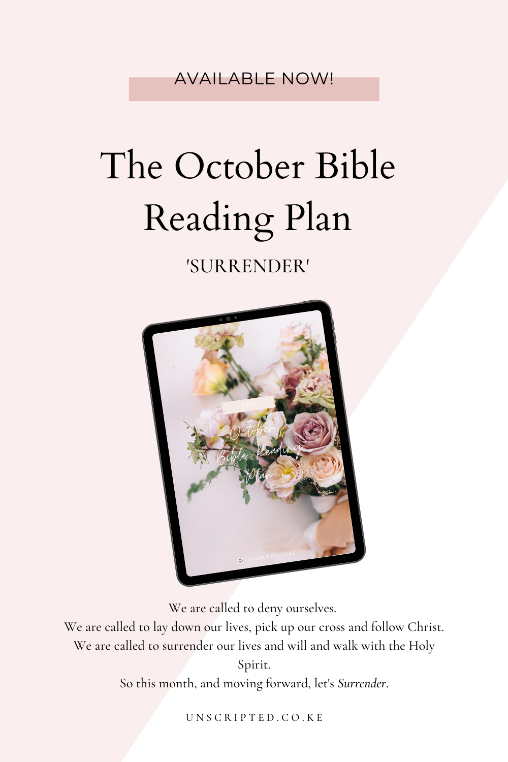 October Bible Plan Pin